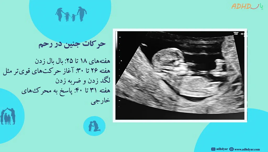 حرکات جنین در بارداری