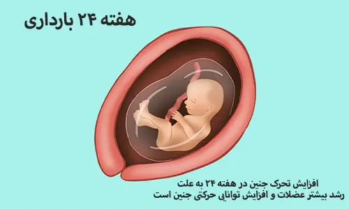 علت بیشفعالی جنین، پاسخ علم به باورهای غلط والدین