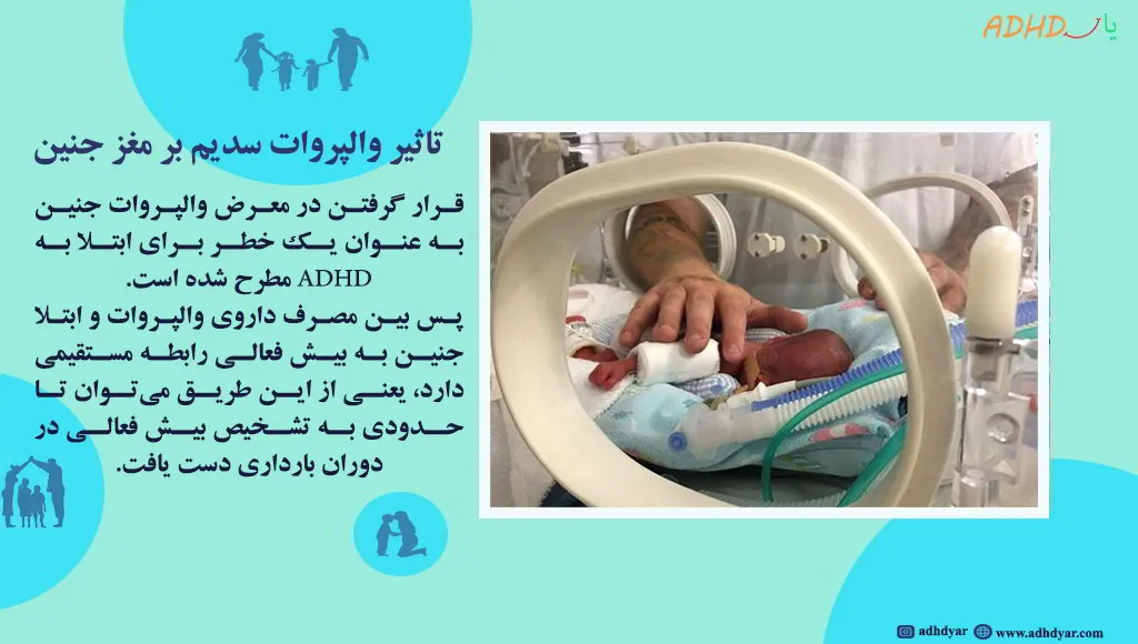 تاثیر والپروات سدیم بر مغز جنین