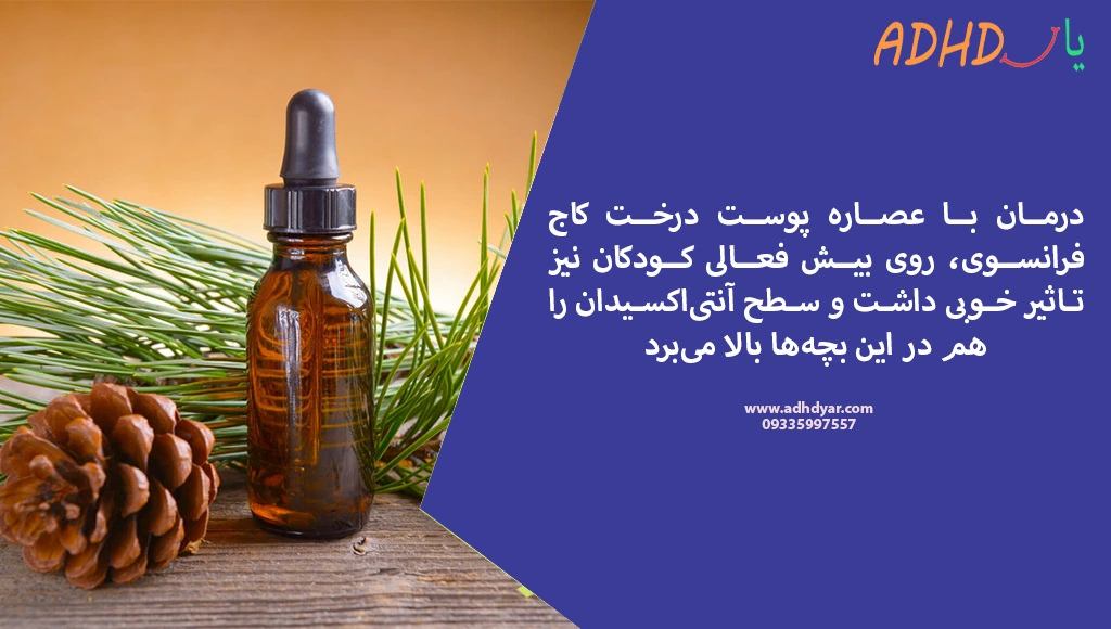 عصاره پوست درخت کاج فرانسوی در مشکلاتی مثل اختلال ای دی اچ دی، تاثیر مثبتی دارد